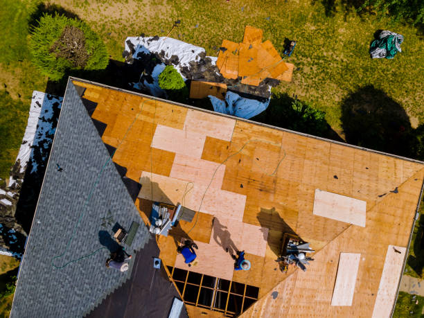 Best Roof Gutter Cleaning  in Morrison, IL