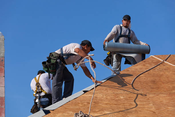 Best New Roof Installation  in Morrison, IL