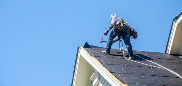Best Roof Leak Repair  in Morrison, IL